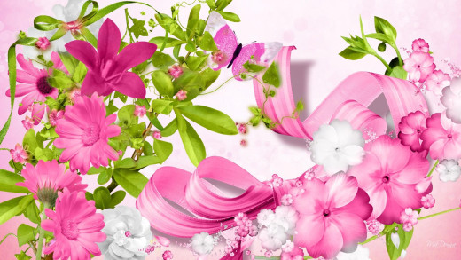 846276 (a): :1920x1080